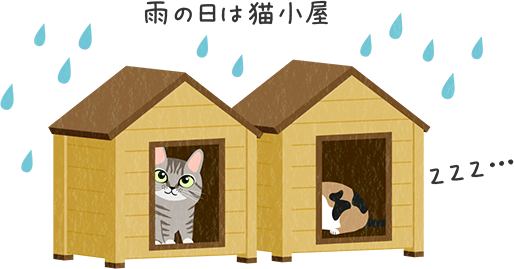 雨の日は猫小屋
