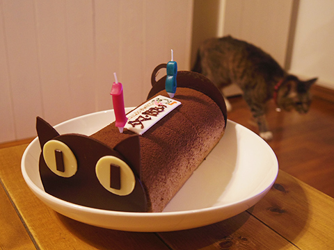 猫誕生日ケーキ